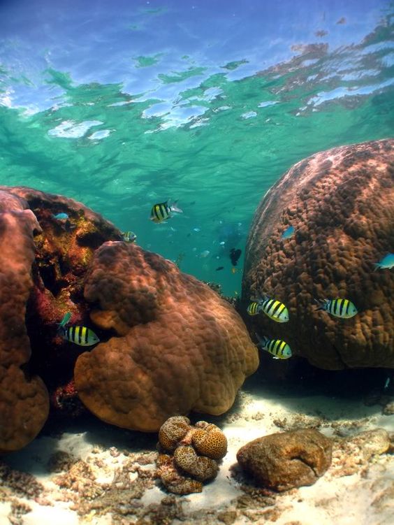 Learning at Ningaloo Reef Research Station: Conservation in Action