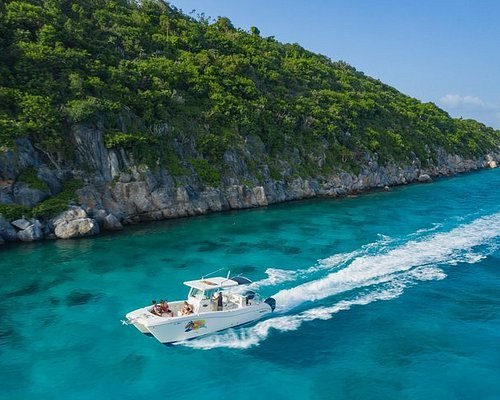 Exploring with Three Islands Marine Charters: A Guide