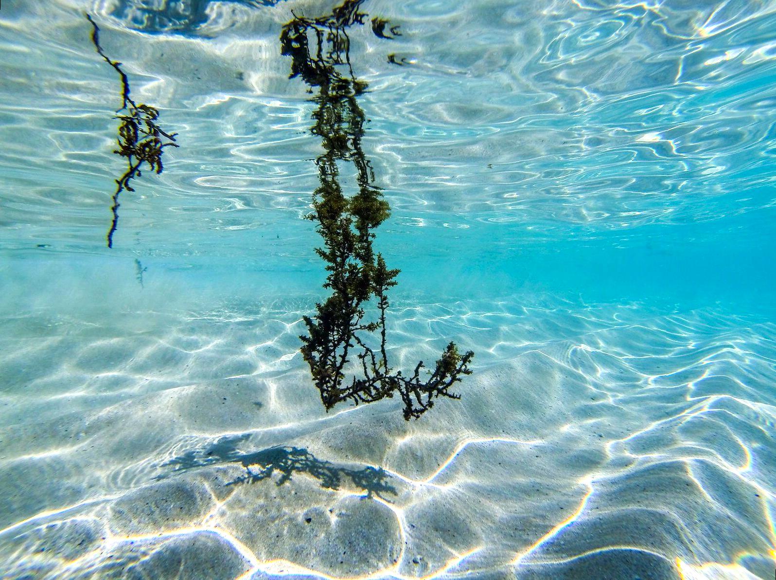 brocante-entre2siecles | Learning at Ningaloo Reef Research Station: Conservation in Action