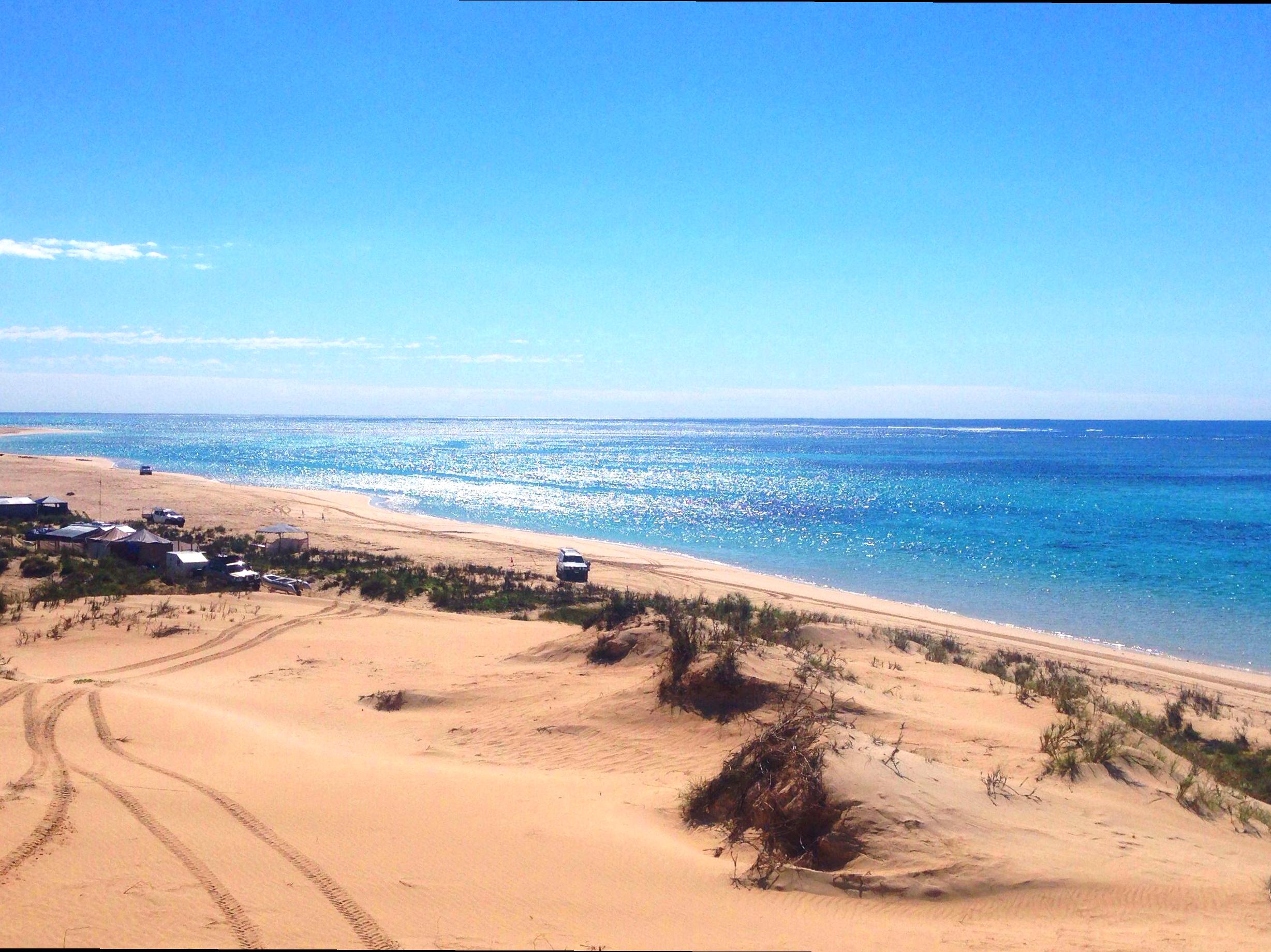 brocante-entre2siecles | Learning at Ningaloo Reef Research Station: Conservation in Action