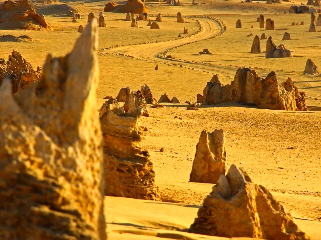 brocante-entre2siecles | Discovering The Pinnacles, Nambung National Park