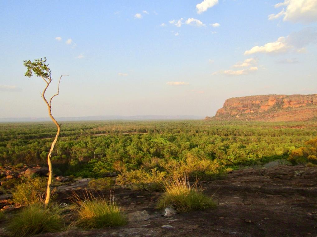 brocante-entre2siecles | Hike the Mirrai Lookout Trail: Scenic Trails in Kakadu