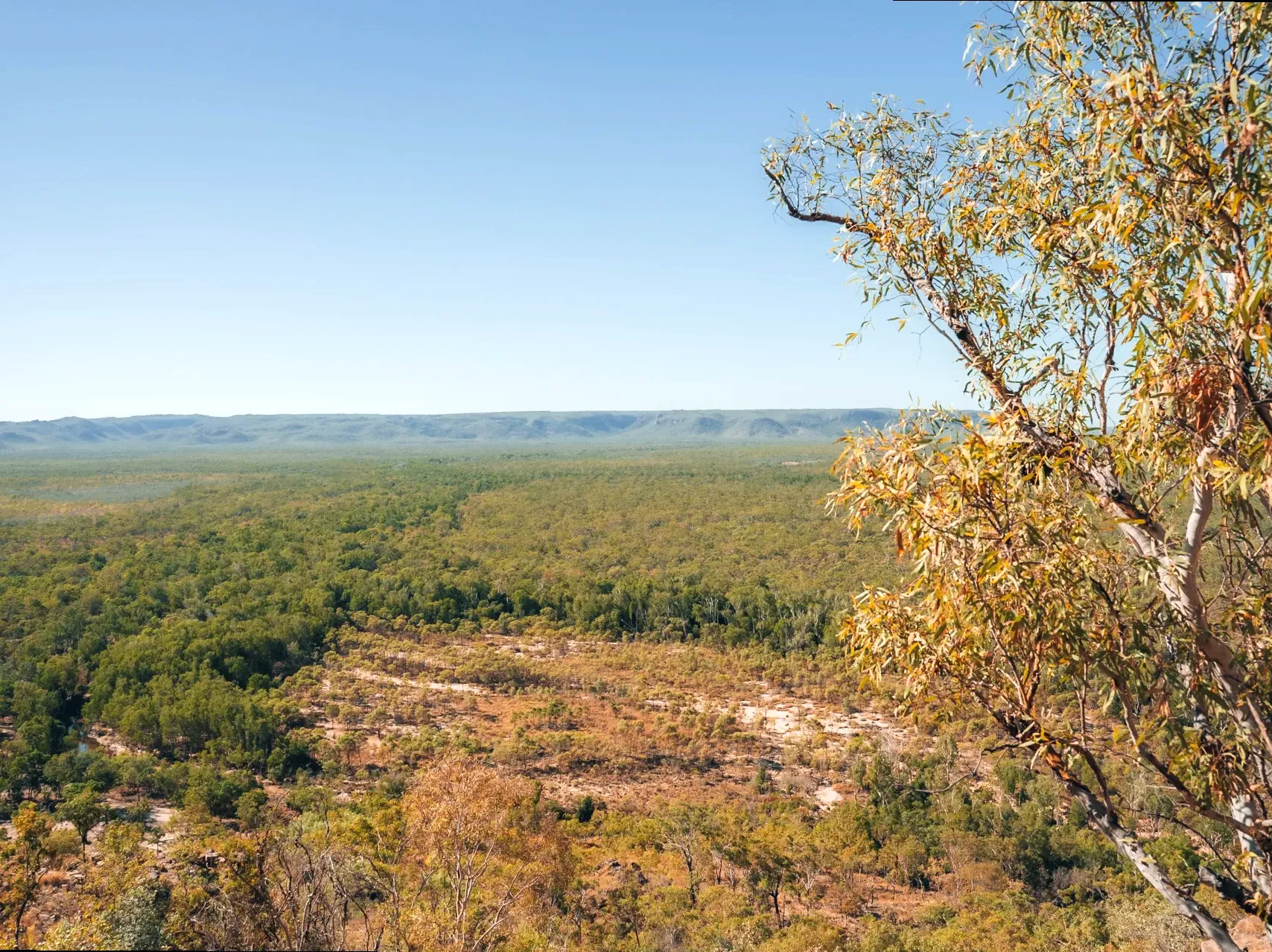 Hike the Mirrai Lookout Trail: Scenic Trails in Kakadu