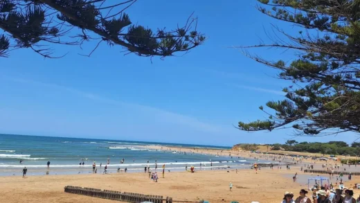 brocante-entre2siecles|Best Swimming Beaches on the Great Ocean Road