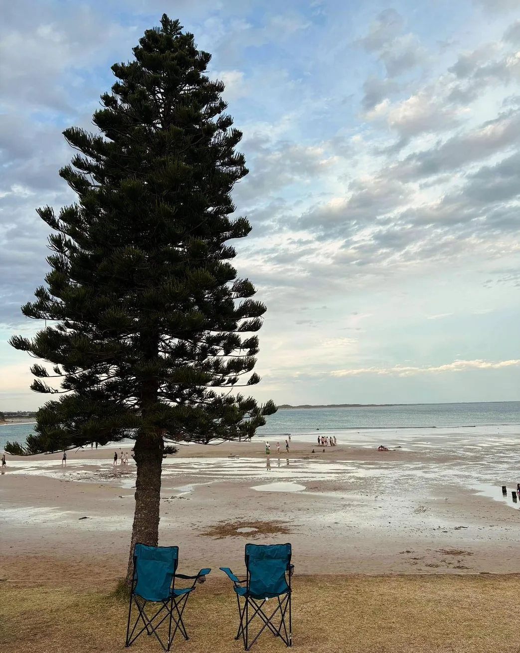 brocante-entre2siecles | Best Swimming Beaches on the Great Ocean Road